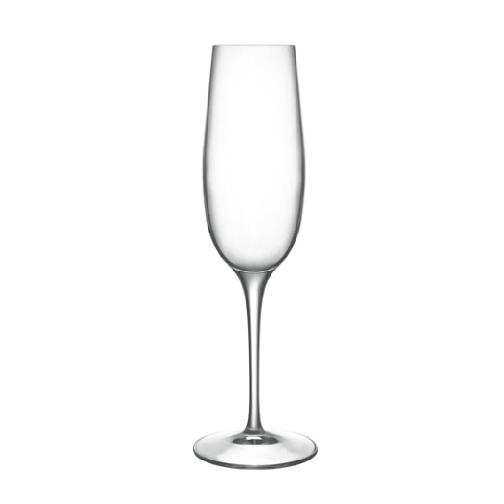 Steelite LB0923306 - Champagne Flute, 8.25 Oz, 3.0" X 9.375"