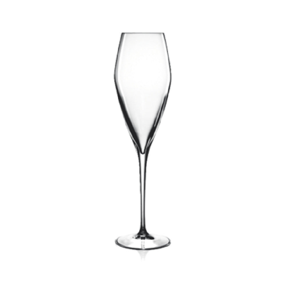 Bauscher Hepp 08748/07 - Champagne Glass, 9.25 Oz., Reinforced Rims