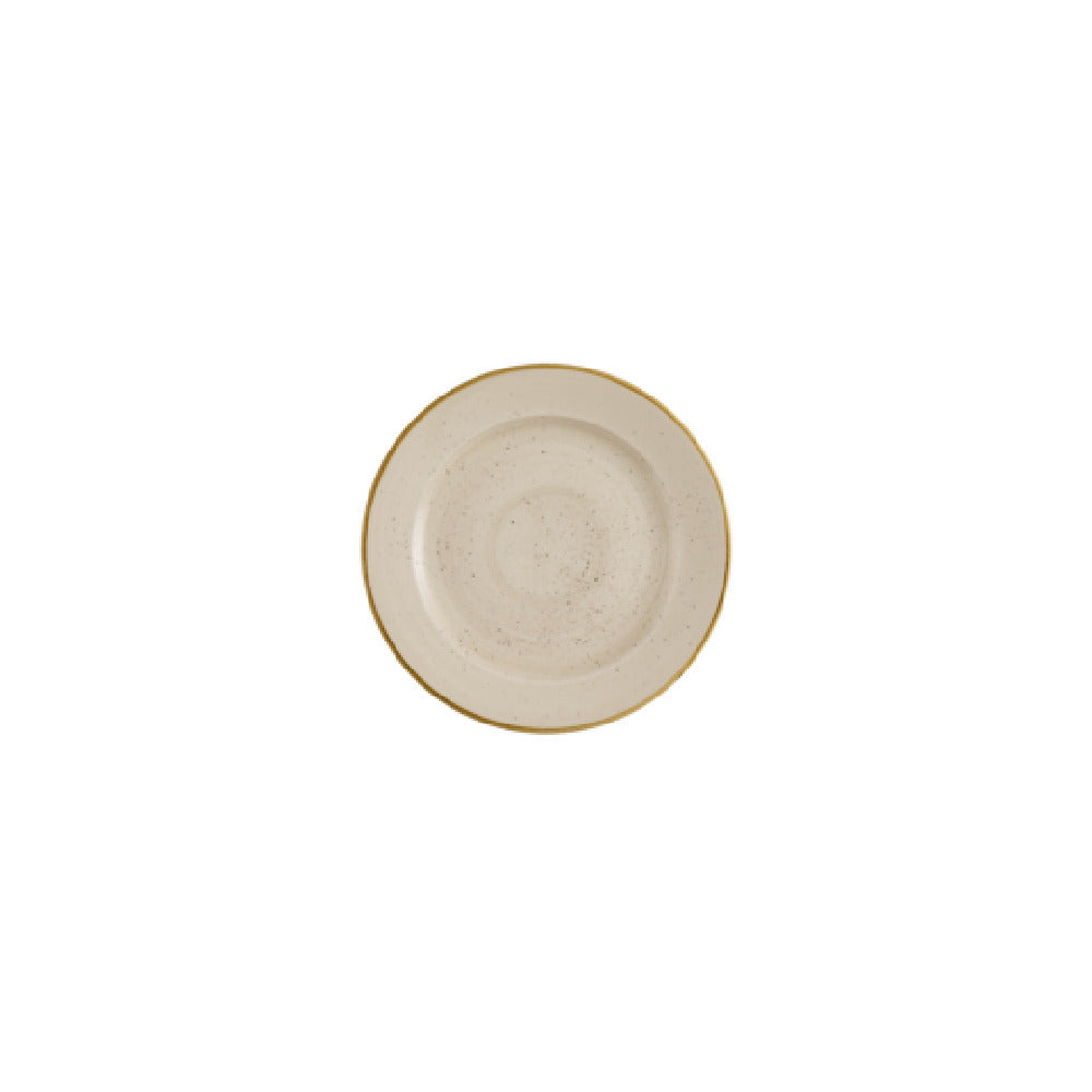 Churchill China SNMSVP581 - Plate, 10 7/8" Dia., Profile
