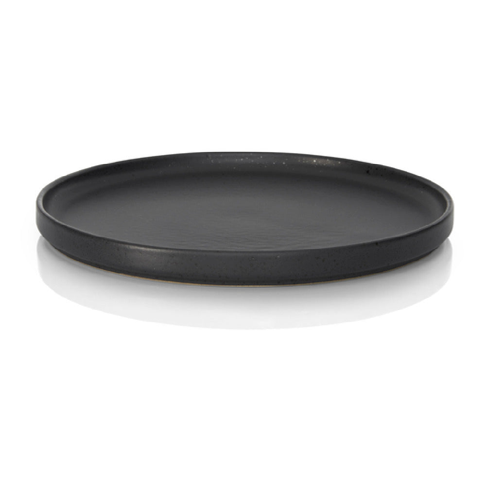 Bauscher Hepp 53.0047.0102 - Flat Plate, 10.2" Dia., Round
