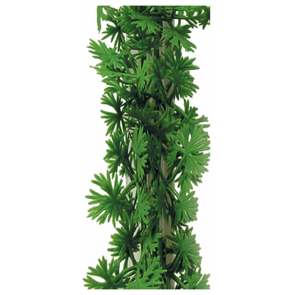 Bauscher Hepp G21 - Finishing Touches Parsley Divider, 9-3/4"L, White PVC Base