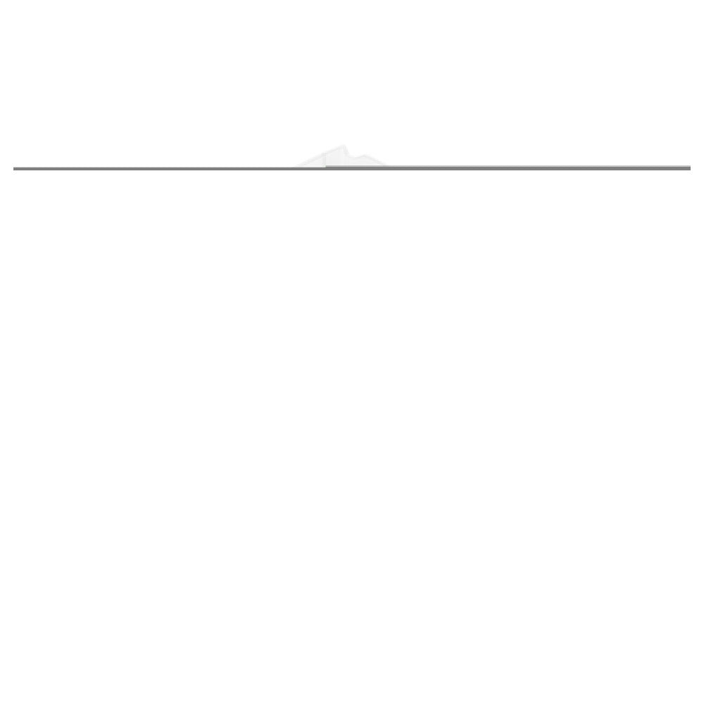 Quantum LDSB122 Bin Long Divider For Bin QSB122 (pack Of 6)