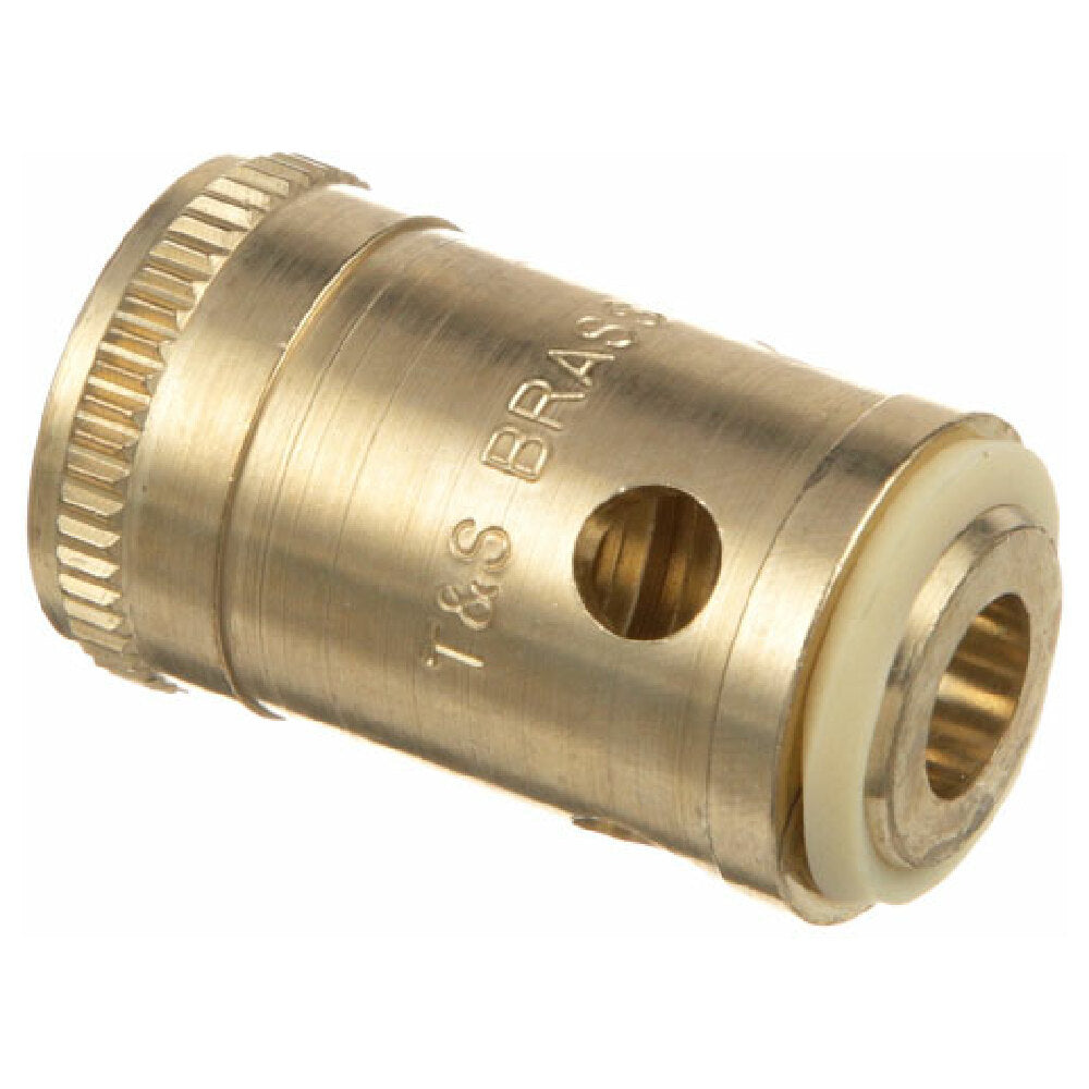 T&S Brass 66L Removable Insert Cold