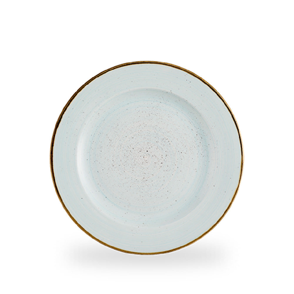 Churchill China SDESVP581 - Plate, 10 7/8" Dia., Profile