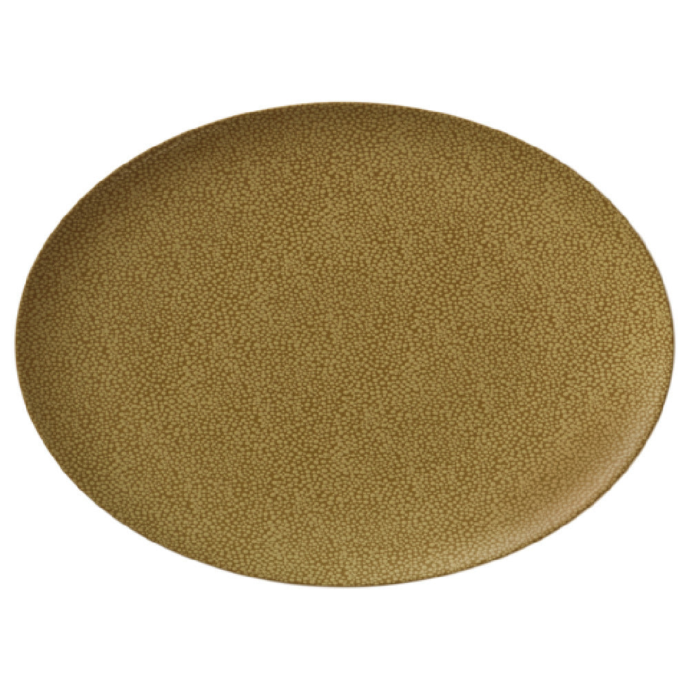 Bauscher Hepp 692237-425688 - Platter, 14.6" X 10.6", Oval