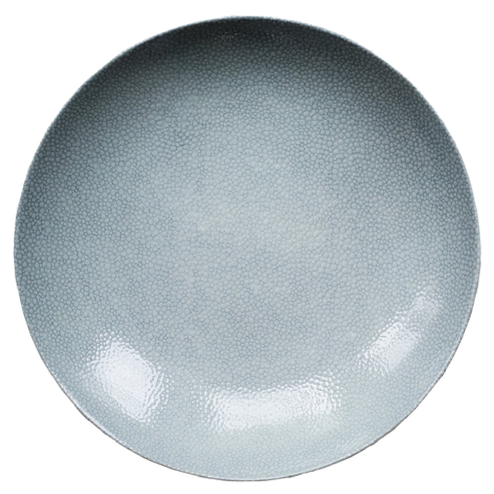 Bauscher Hepp 691229-425687 - Plate, 11-2/5" Dia., Round