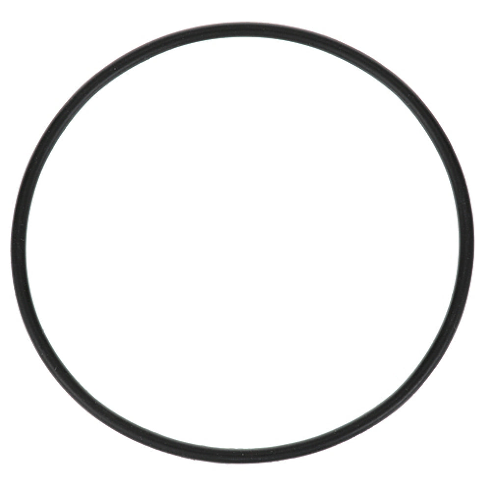 Everpure EV3071-19 O Ring