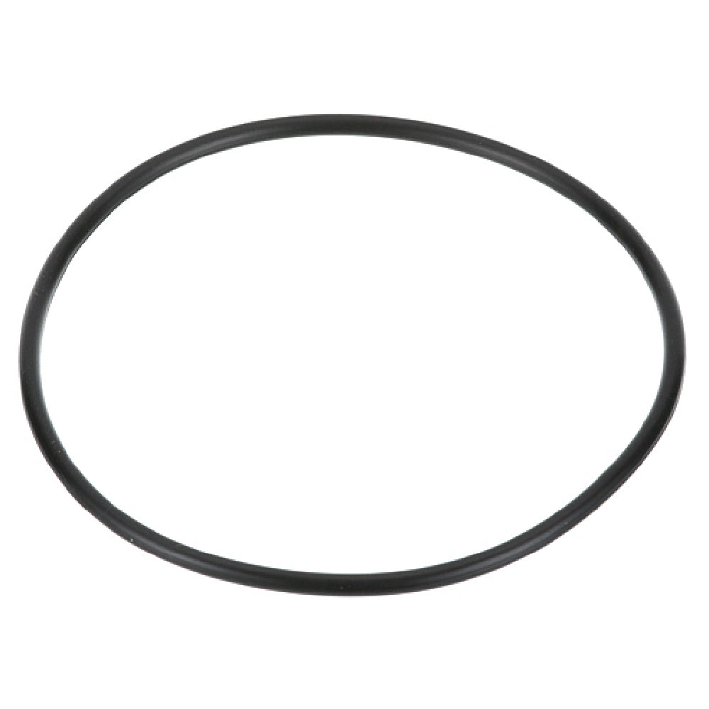 Everpure 311240 O Ring