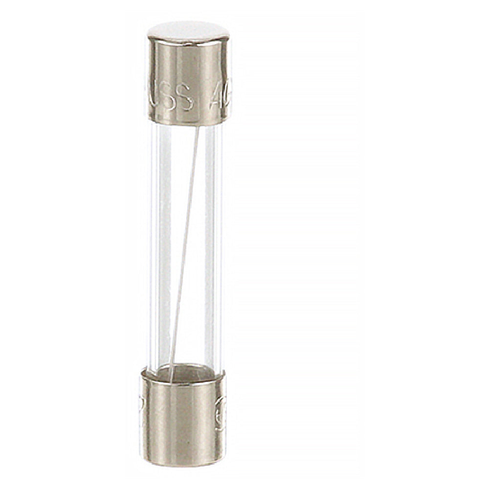 Hoshizaki 4A0893-07 Fuse