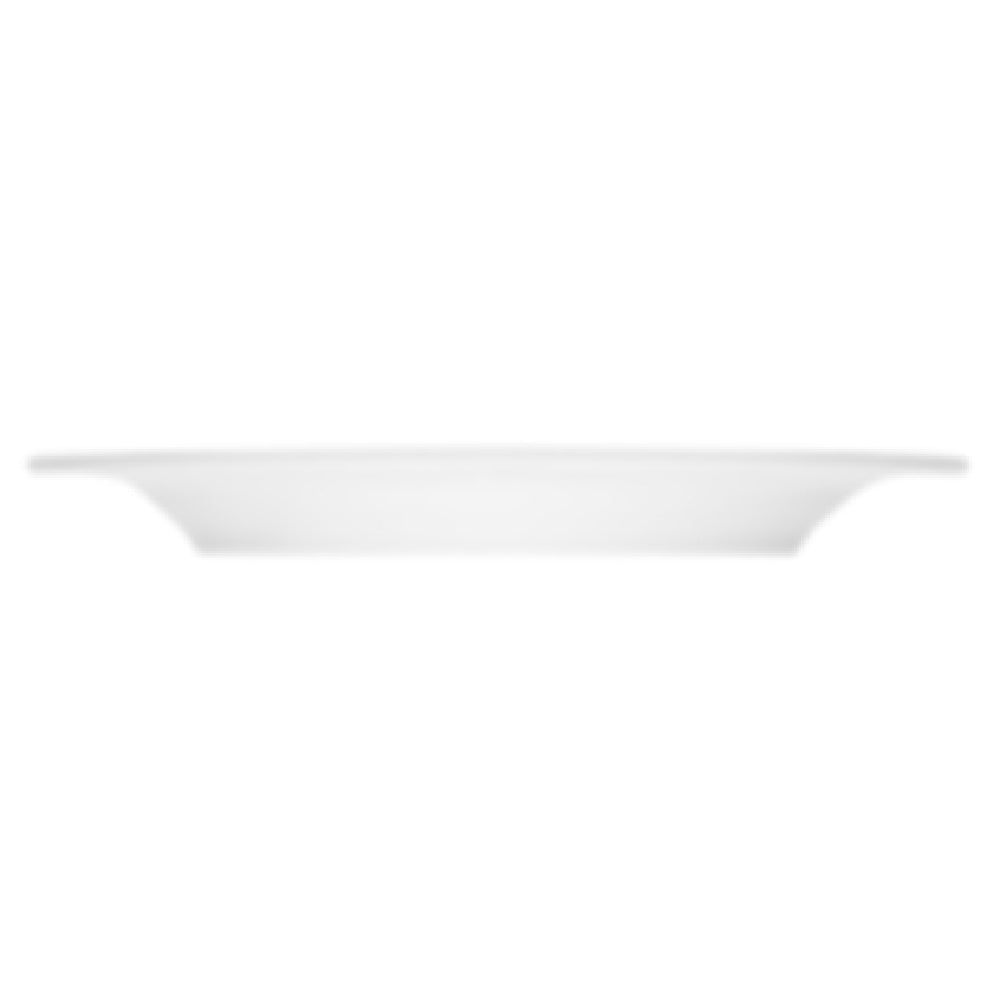 Bauscher Hepp 800025 - Plate, 10-1/8" Dia., Round