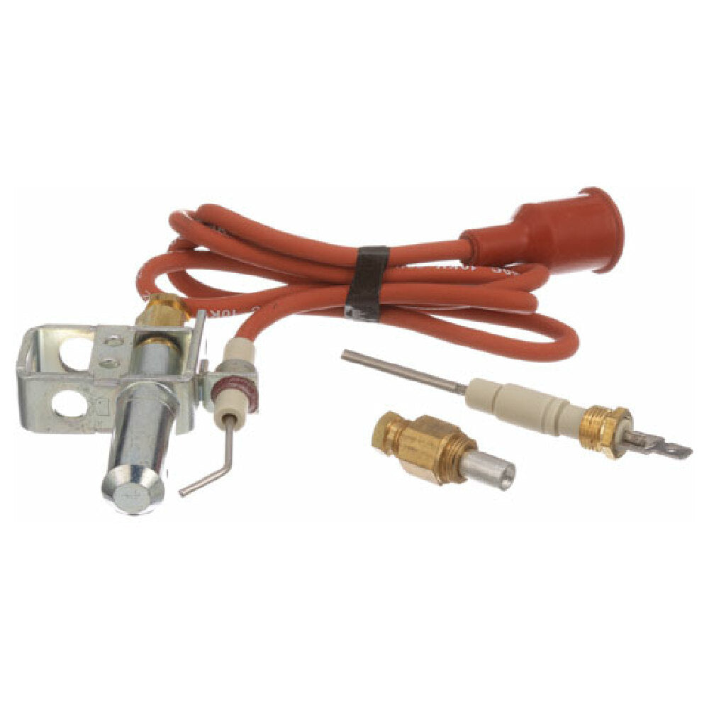 Johnson Controls J987DDW Ignitor Pilot