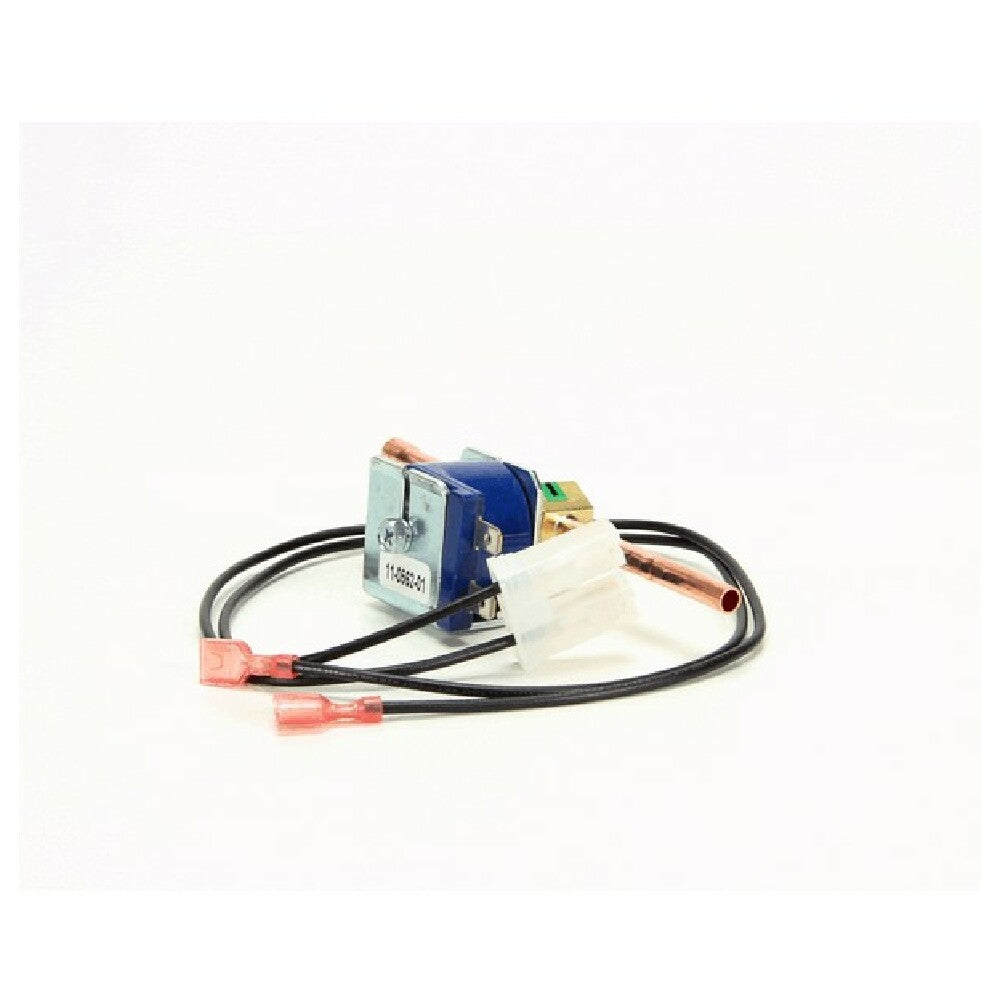 Emerson 50RB4T2M2 Hot Gas Valve Kit