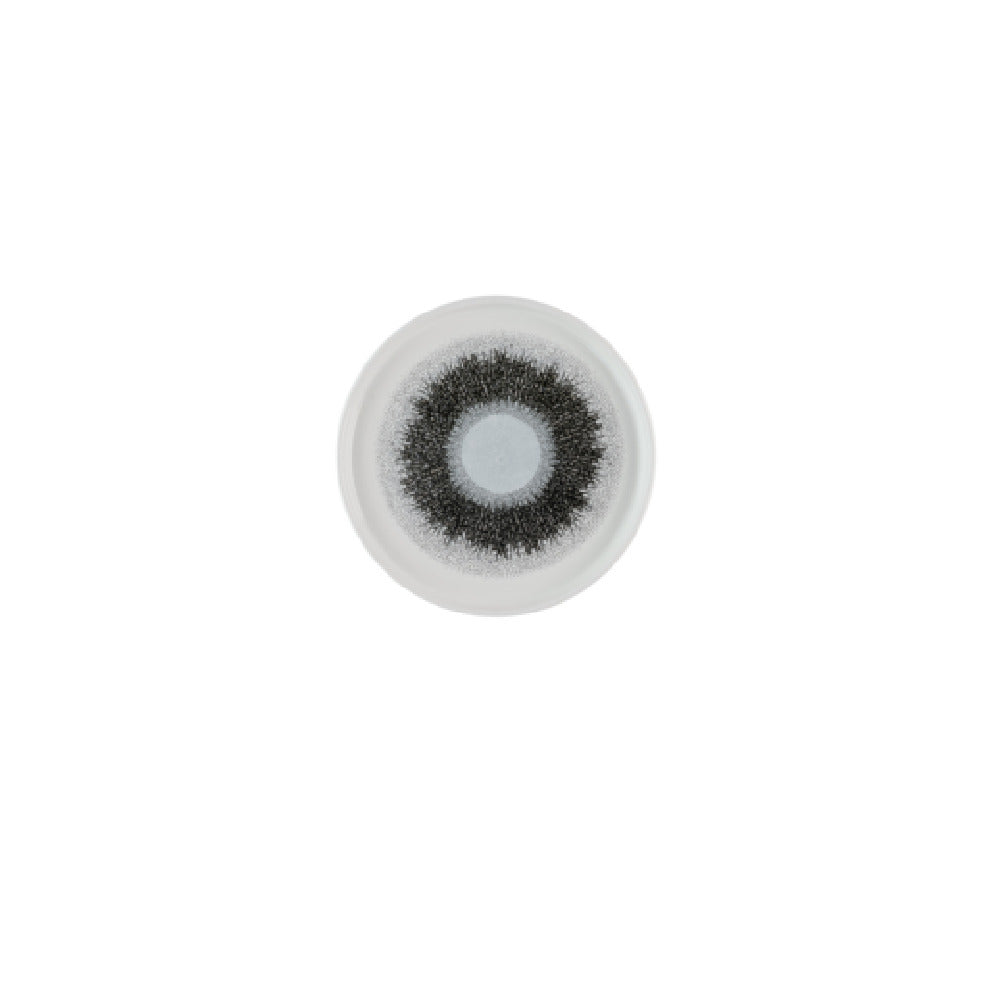 Churchill China FSBKWP211 - Walled Plate, 8-1/4" Dia., Round