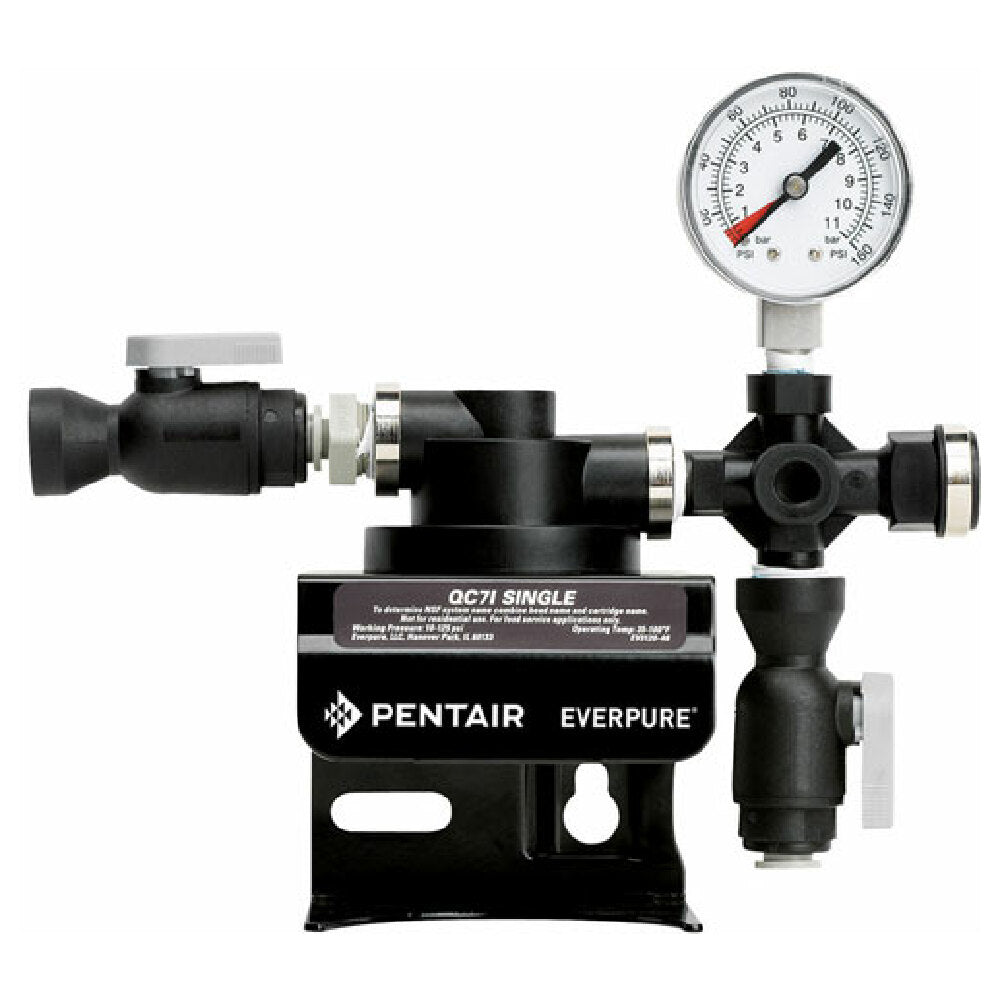 Everpure EV927241 Head Water Filter Single