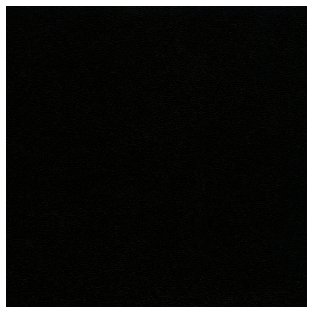 group picture