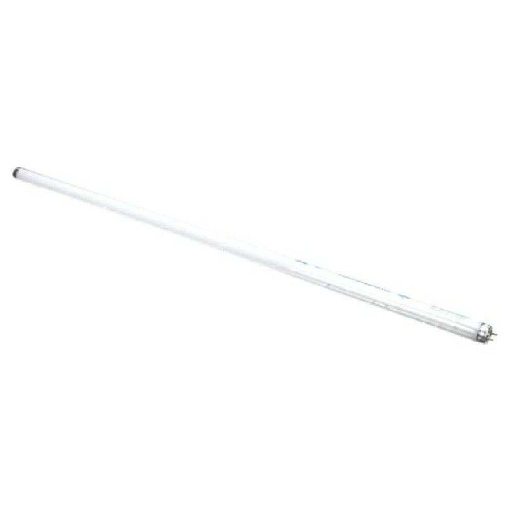 Structural Concepts 76119 Light Bulb