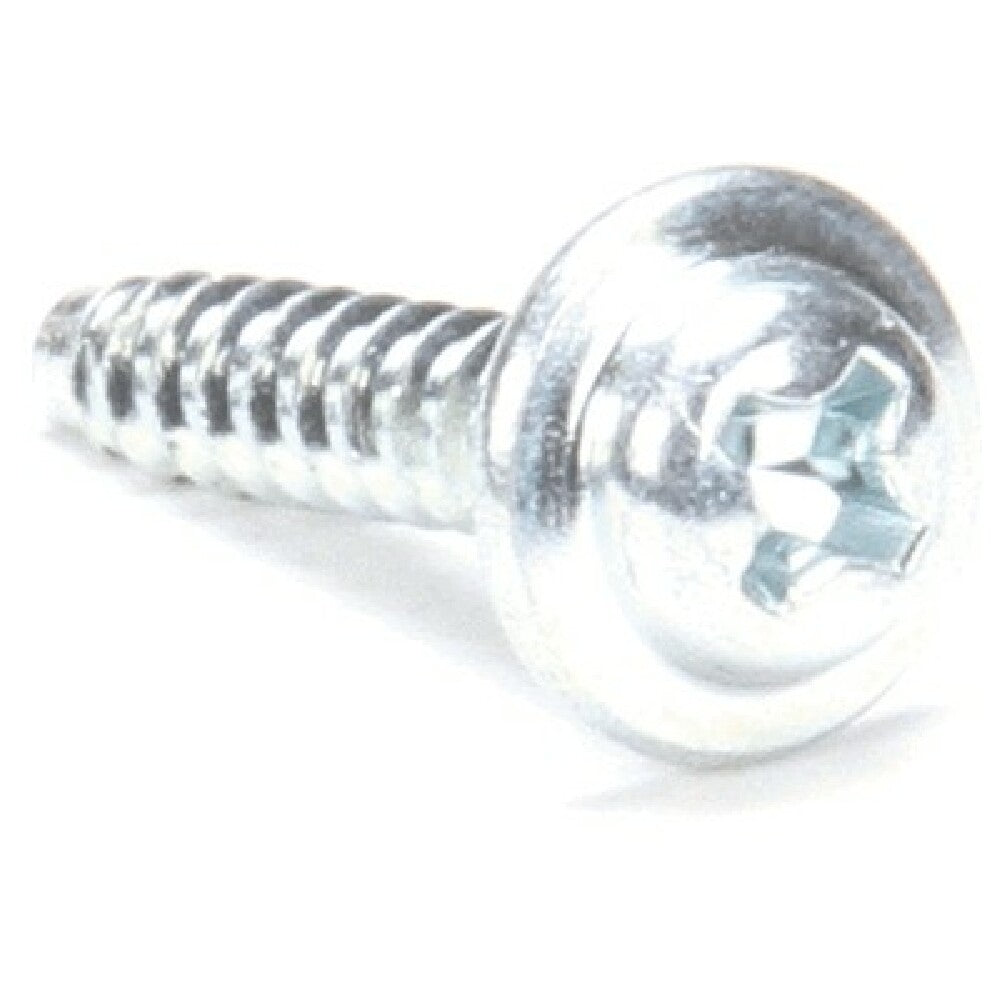AllPoints 8081040 Tapping Screw 3