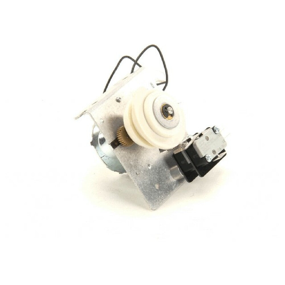 Stero P46-2231 Timer 2 Cams 9.6 Rpm 240v 60hz