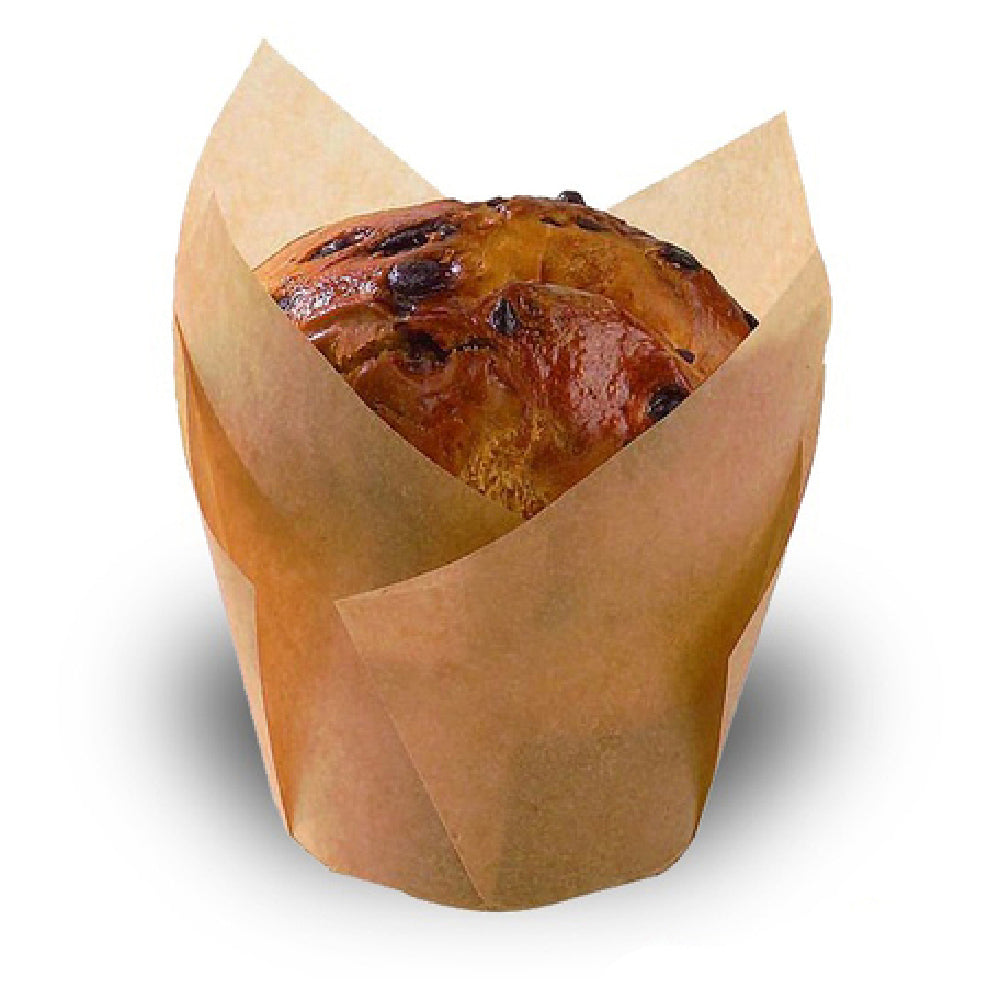 PacknWood 209CPST8M - Tulips Baking Cup, 5 Oz., 6.8" X 6.8" X 3.5"