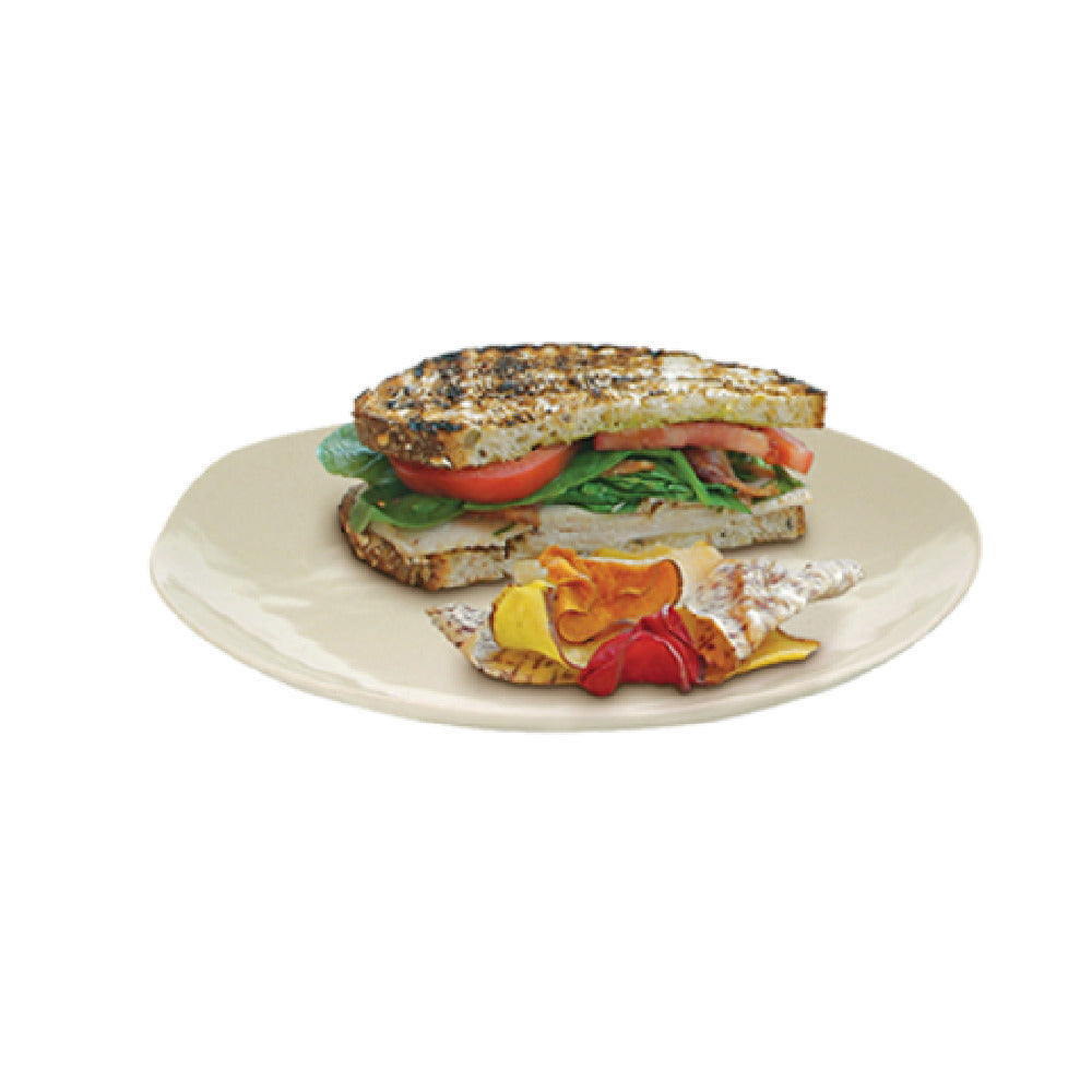 FOH DDP043NAB22 Platewise® Organic Plate 10-1/2" Dia. Round