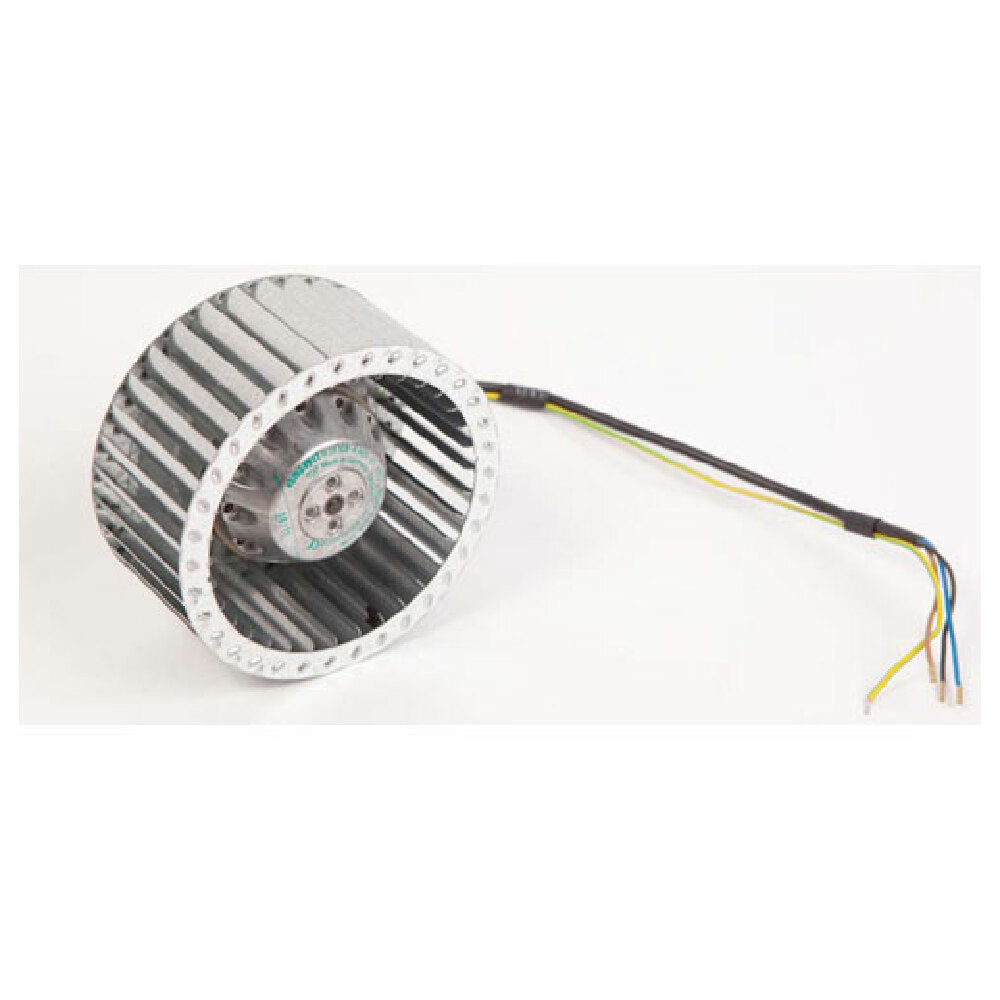 Lang 2U-30200-44 Motor And Blower Assy