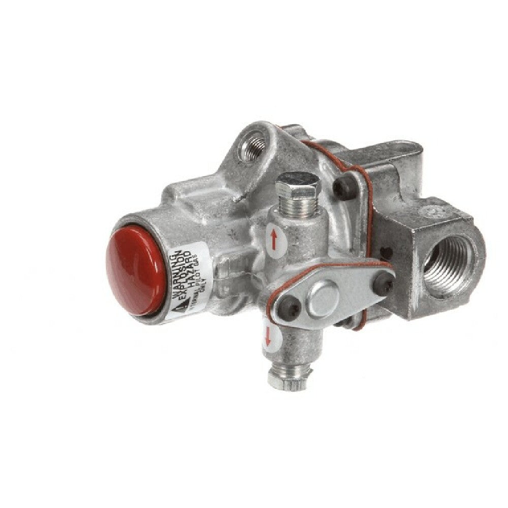 AllPoints VUL00855772 Baso Safety Valve Vulcan Hart