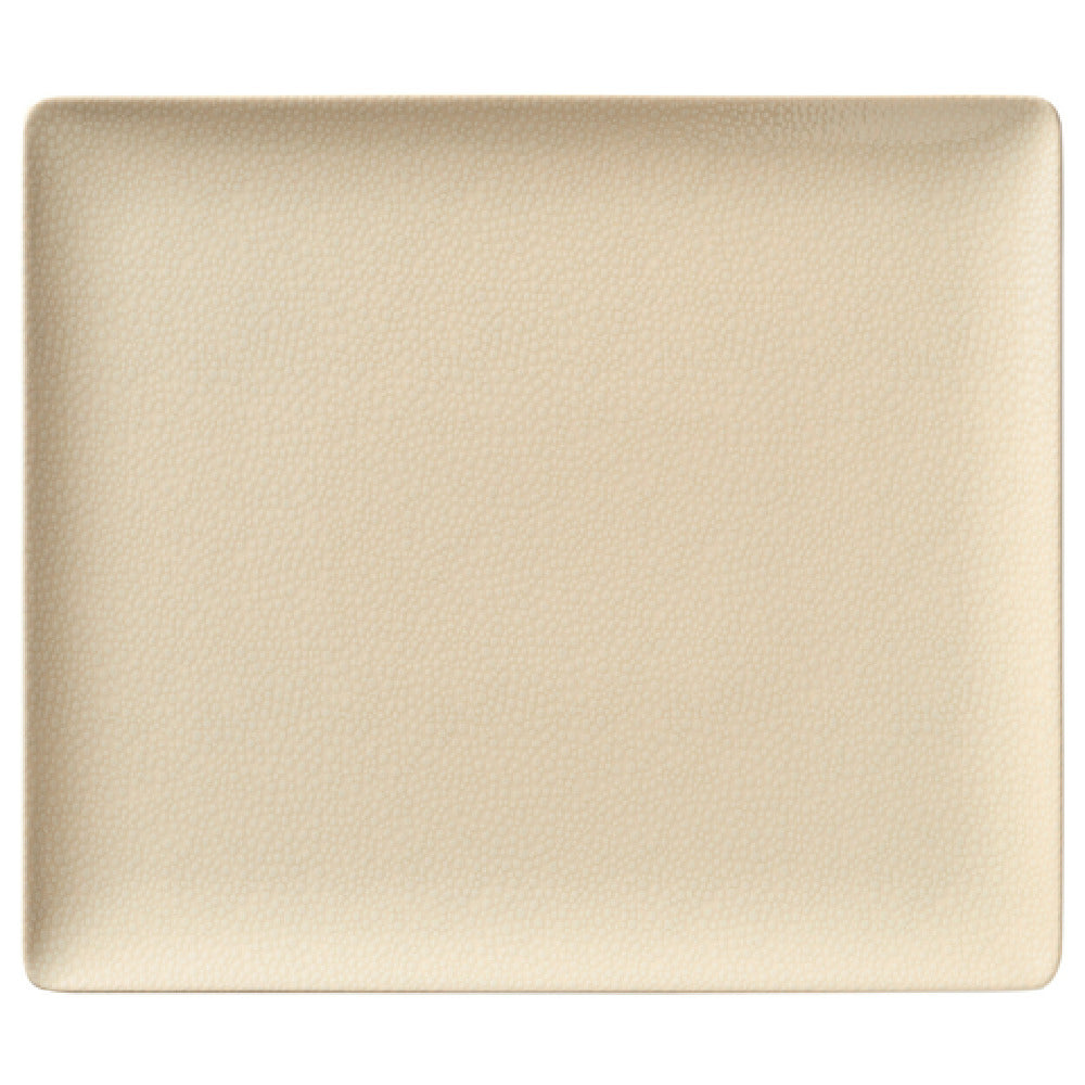 Bauscher Hepp 692327-425782 - Platter, 10.6"x 7.9"x 0.8"H, Rectangular