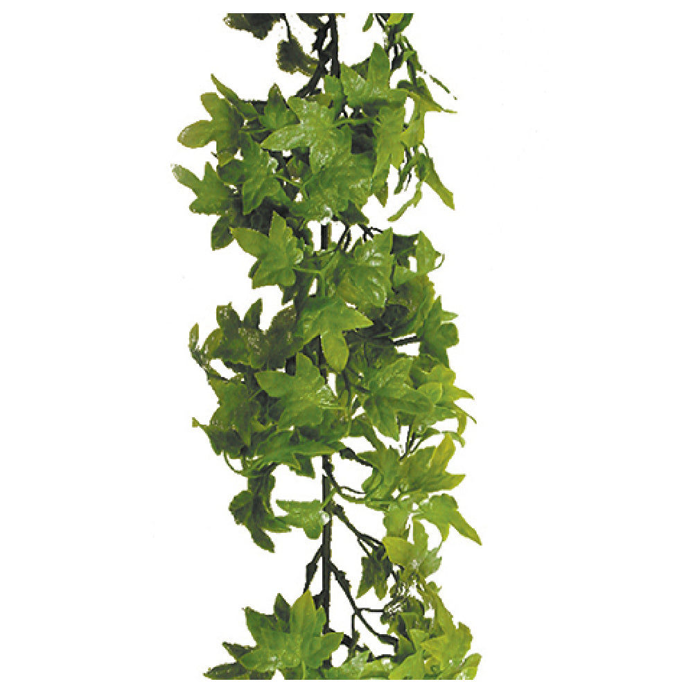 Bauscher Hepp S1037 - Ivy Garland, 70-9/10", Green