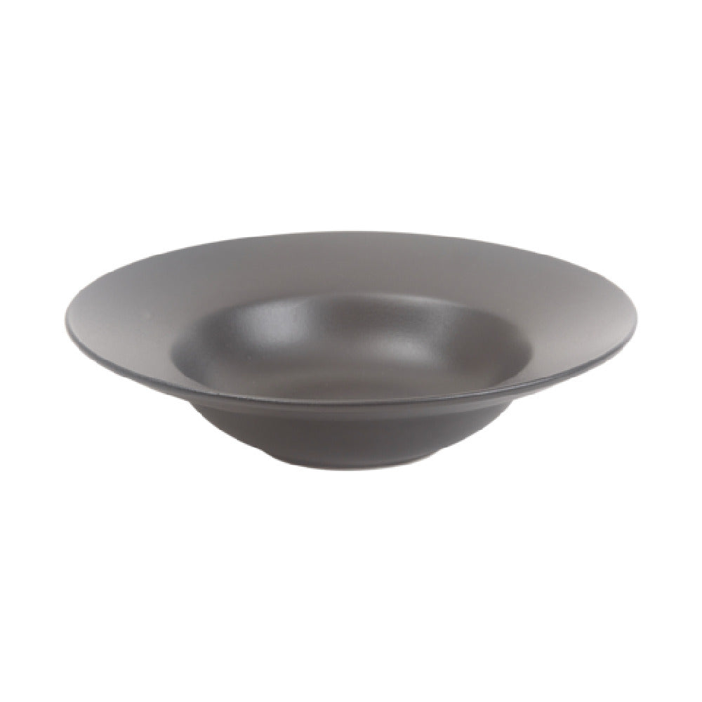 Cameo China 910-610V102 Onyx Soup Plate 15 Oz. (450 Ml) 9-3/4" Dia. X 2-3/4"H (25 Cm X 6.1 Cm)