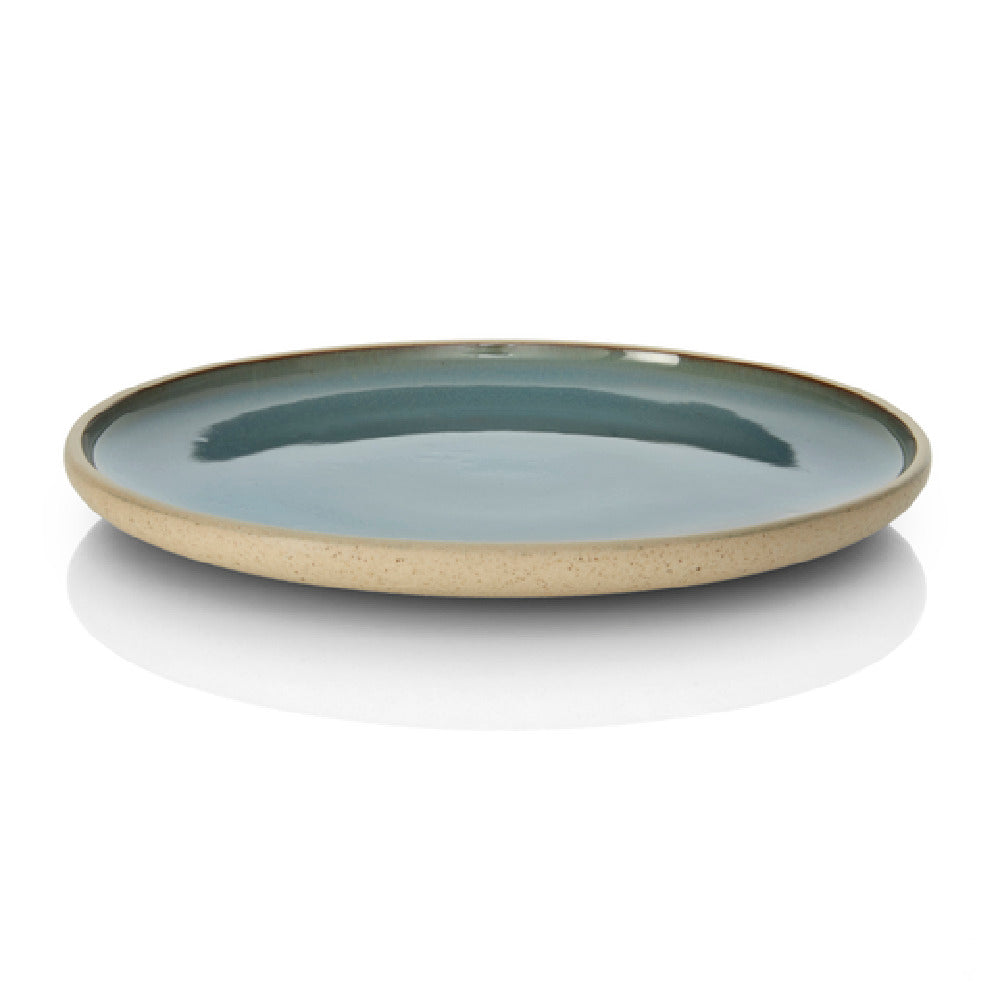 Bauscher Hepp 53.0005.0120 - Flat Plate, 8.7" Dia., Round