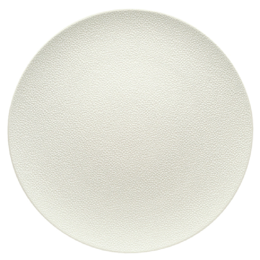 Bauscher Hepp 691224-425440 - Plate, 9-1/2" Dia., Round