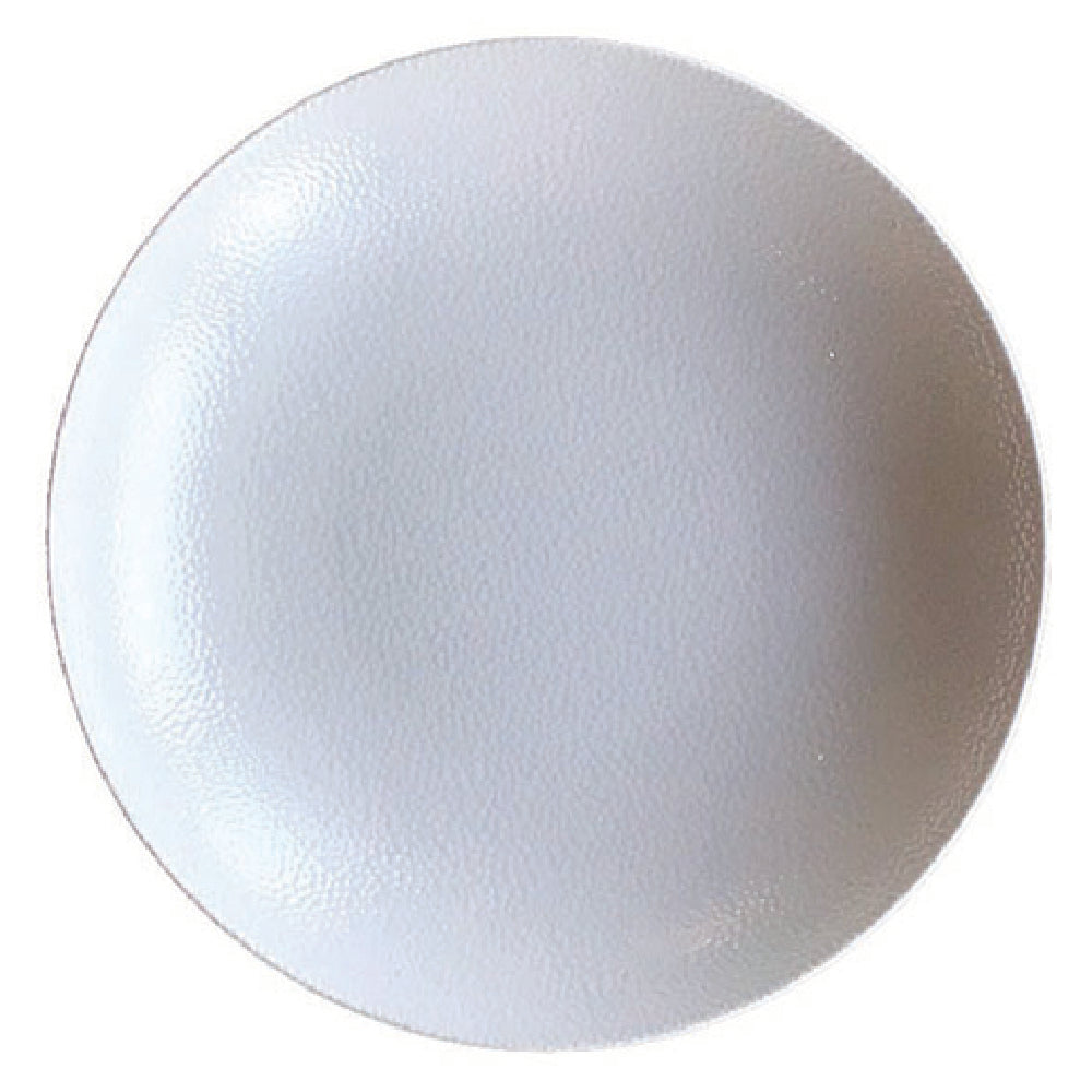 Bauscher Hepp 691324-425440 - Plate, 9-1/2" Dia., Round