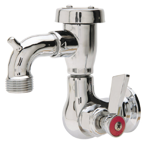 With Hose Threads Single Wall Mount Faucets