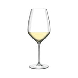 Bauscher Hepp 10648/07 - Sauvignon Wine Glass, 11.75 Oz., Reinforced Rims