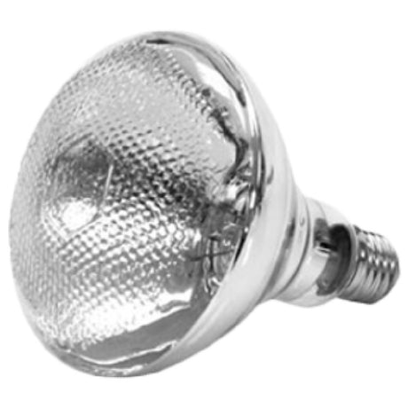 Thunder Group SEJ90001C Heat Lamp Bulb 250-watt Uncoated