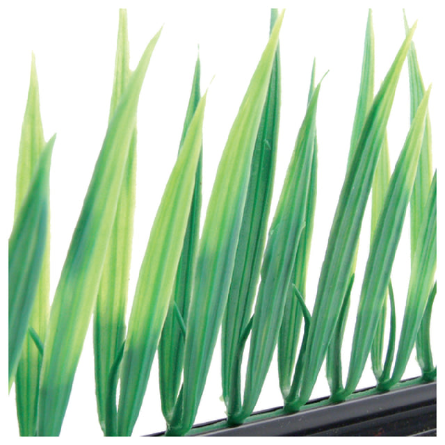Bauscher Hepp GB38 - Grass Garnish, 10"L, Dishwasher Safe