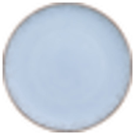 Bauscher Hepp 711223-700457 - Plate, 9" Dia., Round