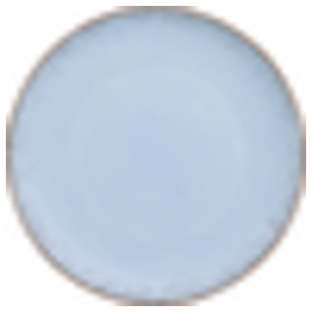 Bauscher Hepp 711223-700457 - Plate, 9" Dia., Round