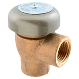 Franklin Machine Products 111-1318 Vacuum Breaker 1/2" NPT Unfinished Brass