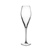 Bauscher Hepp 08748/07 - Champagne Glass, 9.25 Oz., Reinforced Rims