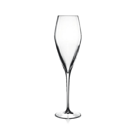 Bauscher Hepp 08748/07 - Champagne Glass, 9.25 Oz., Reinforced Rims