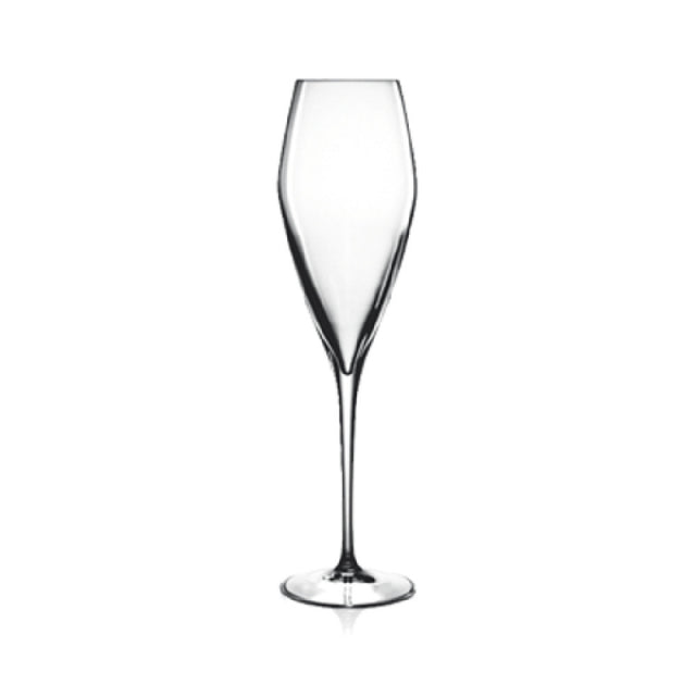Bauscher Hepp 08748/07 - Champagne Glass, 9.25 Oz., Reinforced Rims