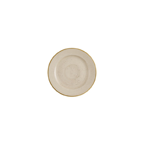 Churchill China SNMSVP581 - Plate, 10 7/8" Dia., Profile