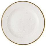Churchill China SWHSVP101 - Plate, 10 1/4" Dia., Round
