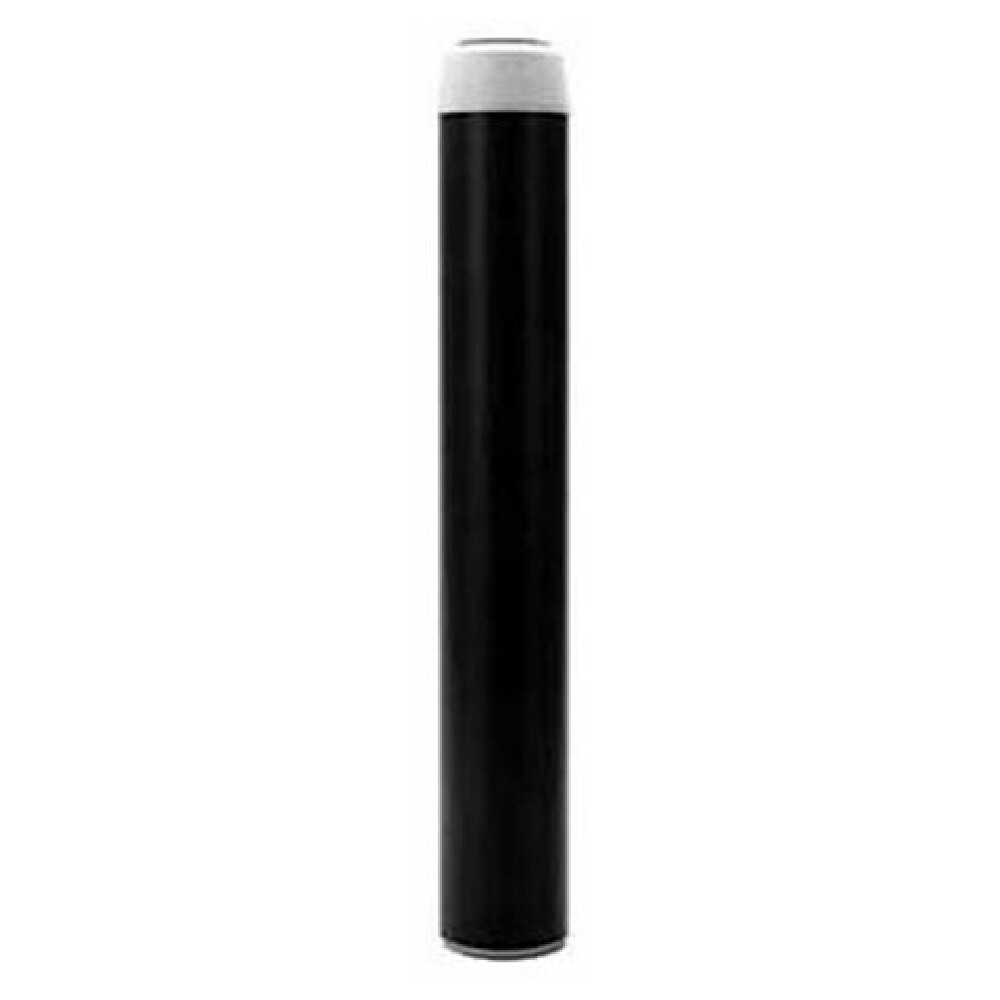 Everpure CGT20S Cartridge Cgt 20s Gran Carbon