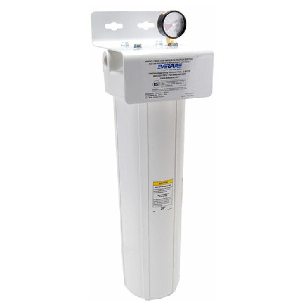 Everpure EV9100-31 System Fount/combo Cb20 124e