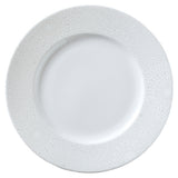 Steelite 82110AND0102 Plate 10-3/4" Dia. Round