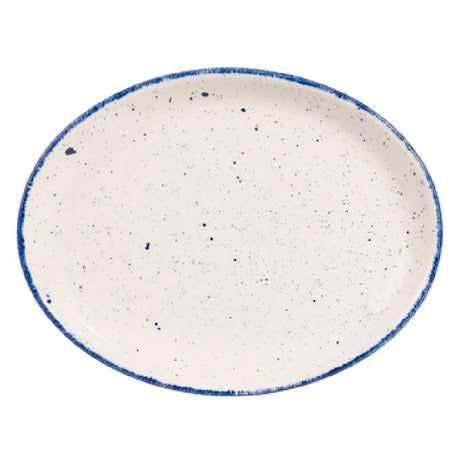 Churchill China SHBID10 1 Plate 10" Oval