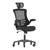 Flash Furniture BL-X-5H-RLB-GG Kelista Executive Swivel Office Chair 47-1/2" To 52-1/2" Adjustable Height