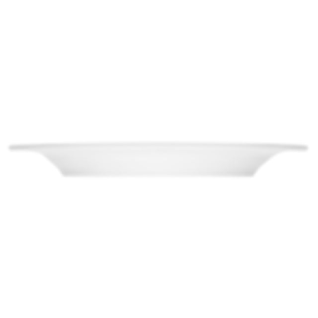 Bauscher Hepp 800020 - Plate, 8" Dia., Round